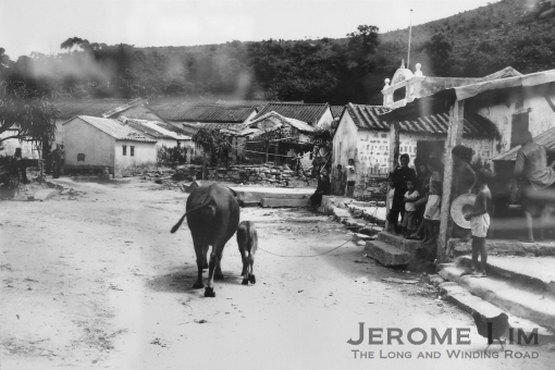 Coloane in the mid 20th century - taken off an exhibition of old photographs at the village square.