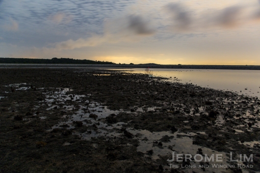 One of the magical moment I am losing sleep over - first light over a submerged reef at exposed at low tide.