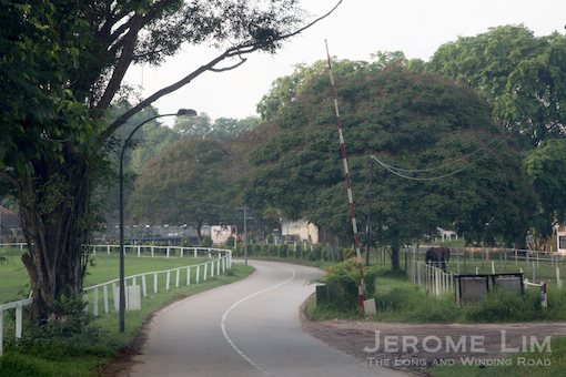A touch of the countryside nearby at the   Bukit Timah Saddle Club - which has been using part of the race course's estate since 1951. 