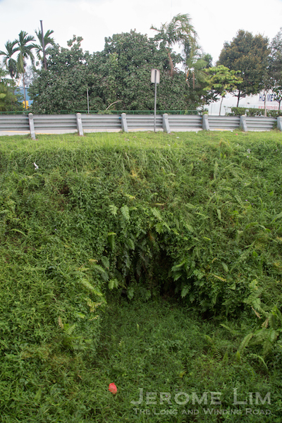 A view of the tunnel, now obscured by vegetation.