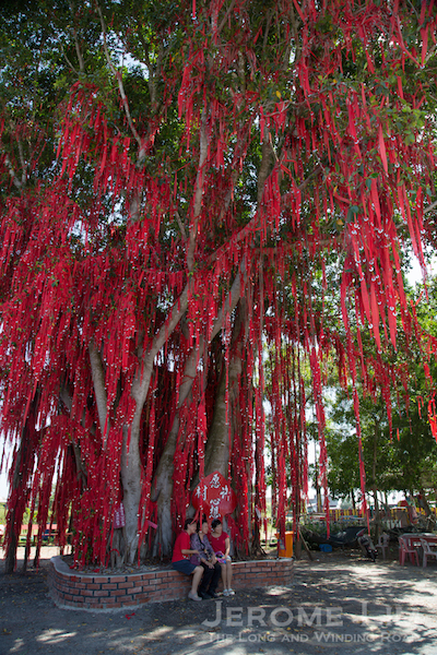 The wishing tree at Pantai Redang.