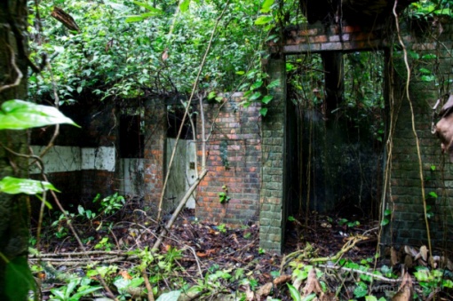 A red brick structure in the forest.